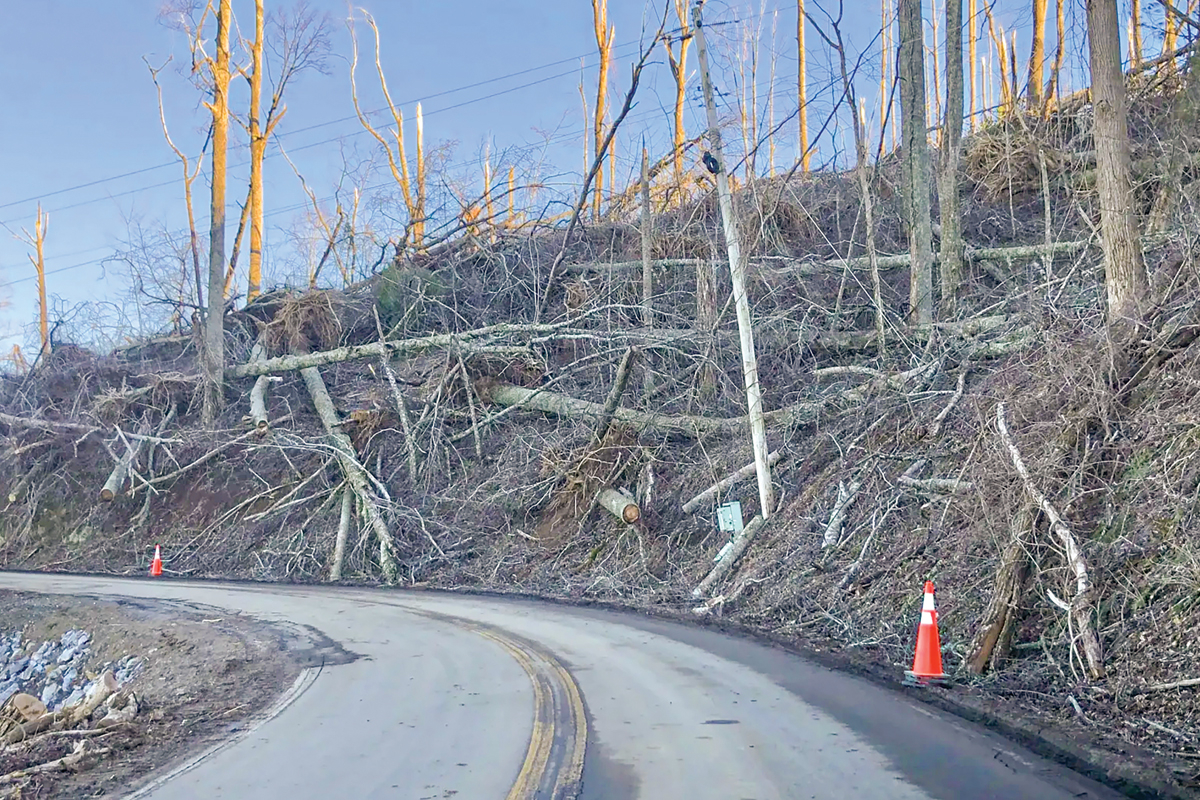 Thousands of downed trees still litter the hillsides on and around Elk Mountain in northern Buncombe County, and residents are worried that once all the wood dries out it will pose a significant fire hazard. Watchdog photo by John Boyle.