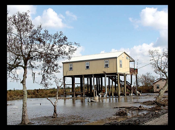 Isle de Jean Charles, LA being swallowed by the Gulf. insideclimatenews.org, Karen Apricot photo