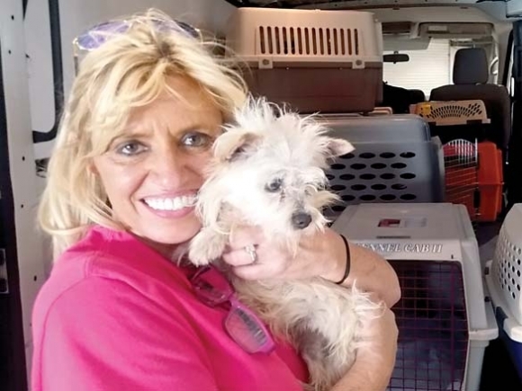 Connecting pets and people: PAWS swoops in to shelter puppy mill rescues
