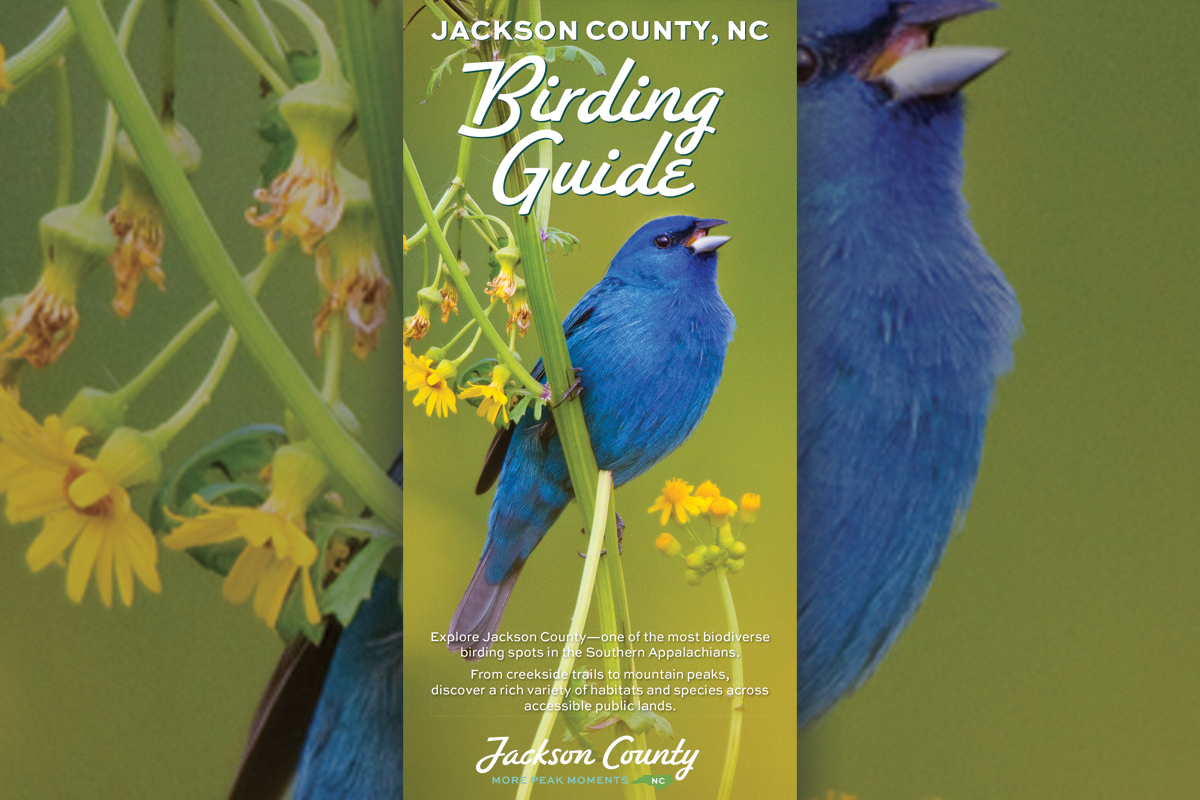 Jackson TDA releases new birding guide