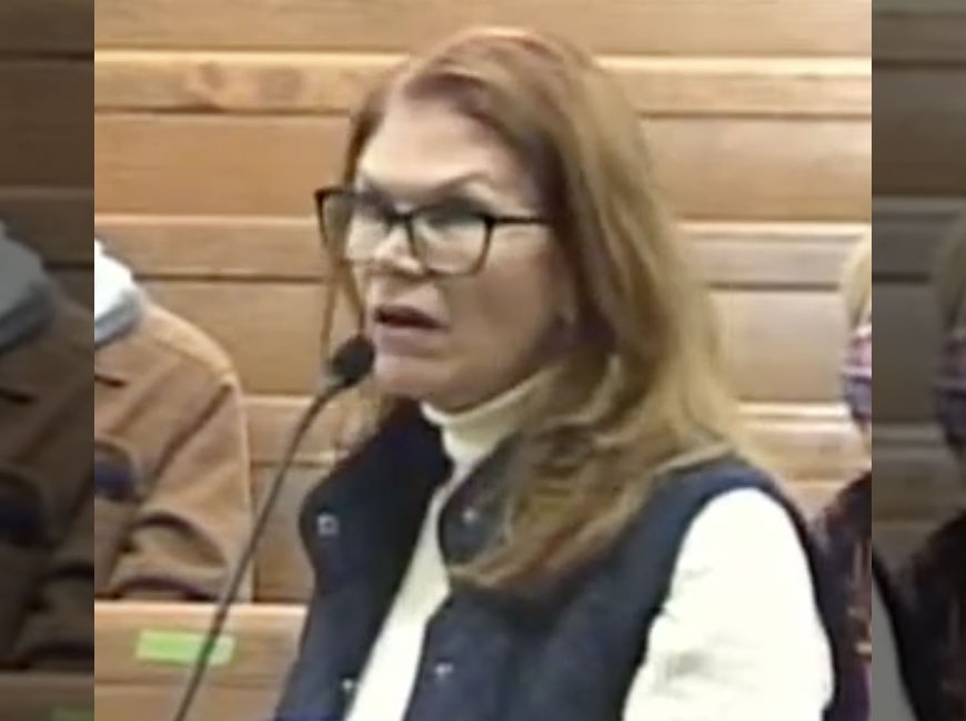 Janet Presson speaks at a Waynesville Board of Aldermen meeting on Dec. 8, 2020. Haywood County photo