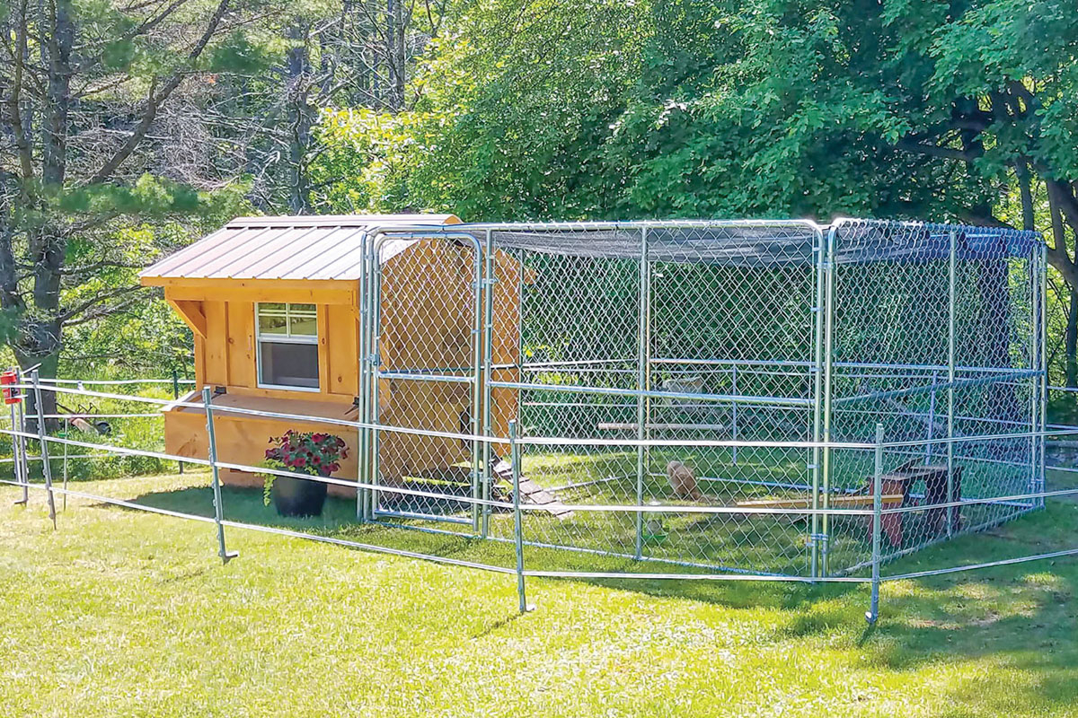 Traditional measures may not be enough to protect poultry from bears. Donated photo