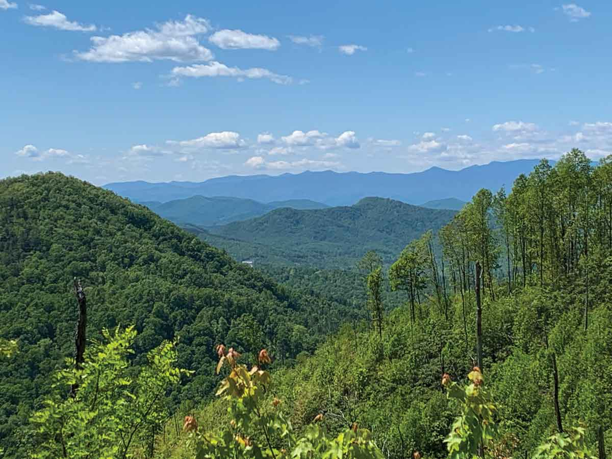 The tract holds three N.C. Natural Areas and borders Bobs Creek State Natural Area. Foothills Conservancy photo 