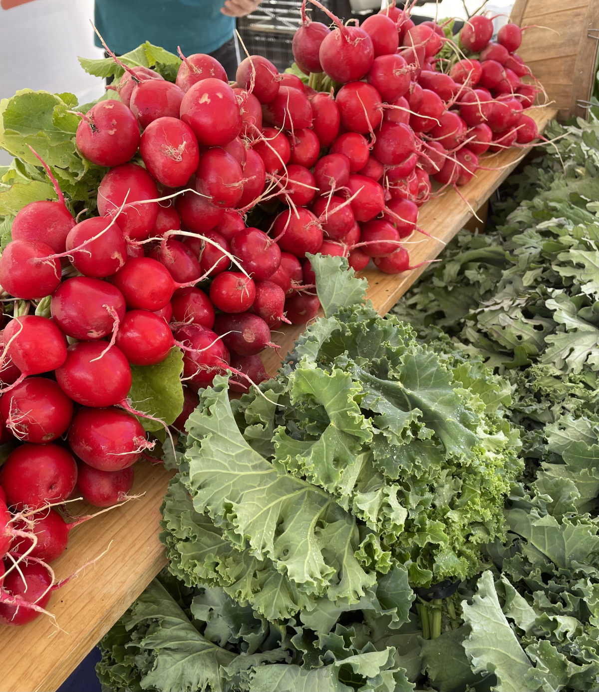 Farmers Market Season