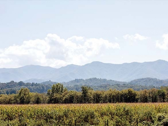 Rim Trail reopened following purchase