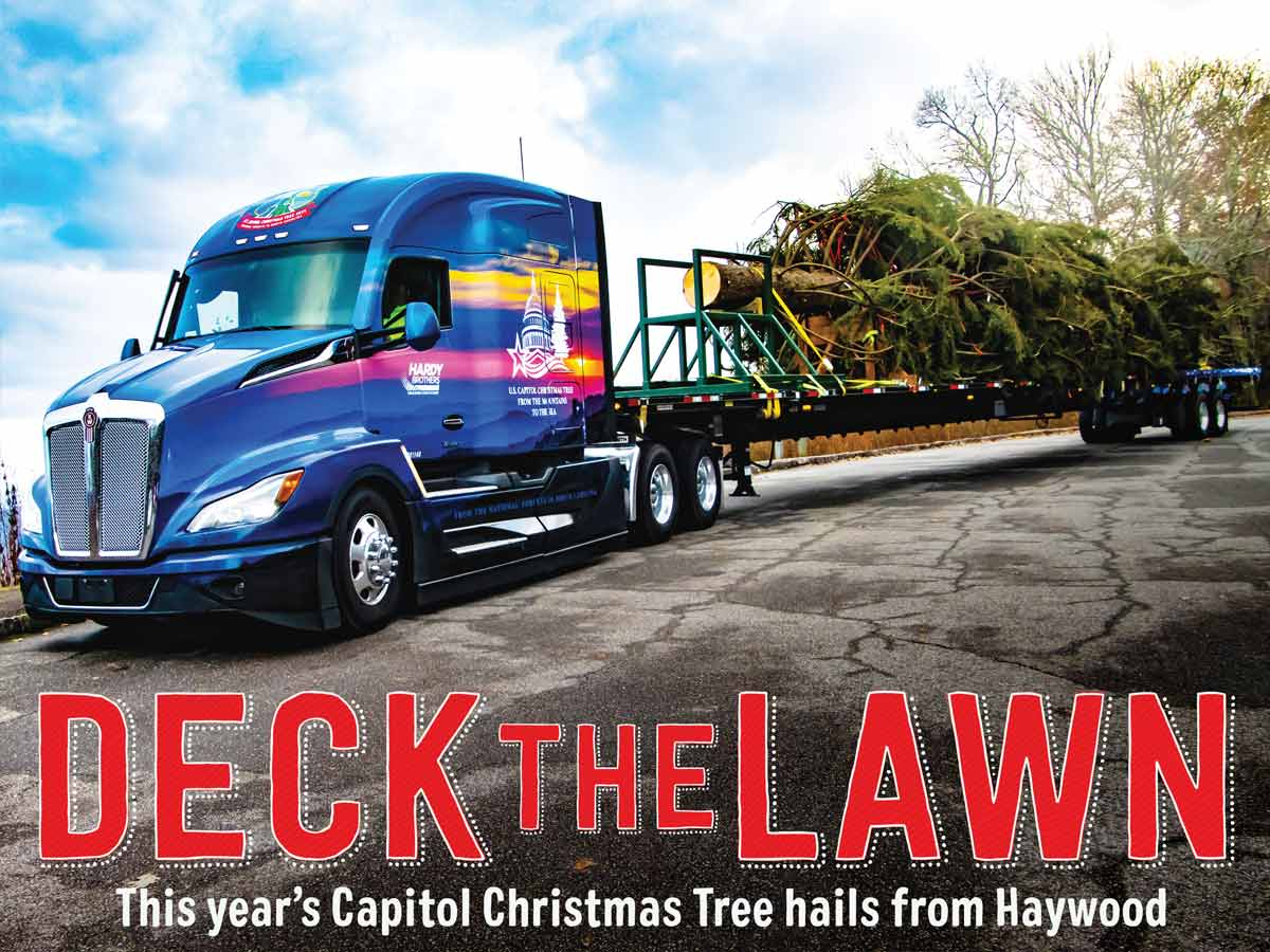 Haywood Tree to serve as Capitol Christmas tree, prompt spruce restoration efforts