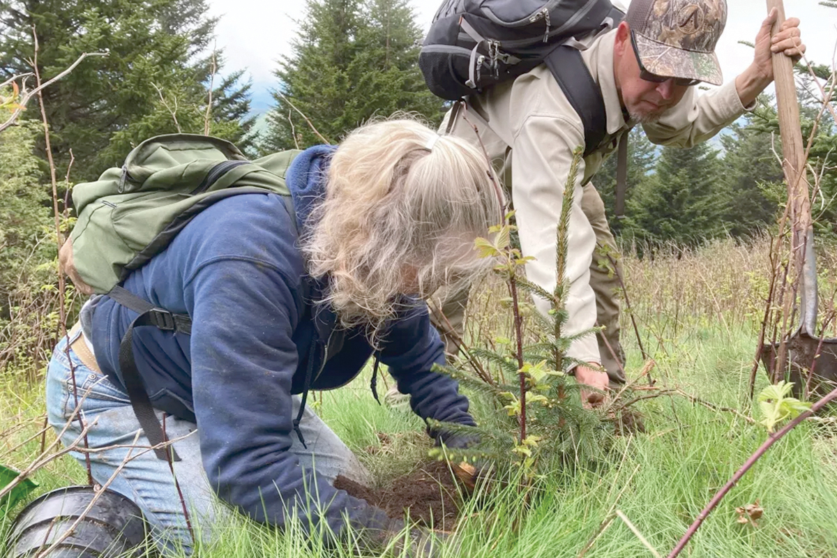 Mark Endries (right) helps a volunteer plant a young red spruce tree  in the Camp Alice area of Mount Mitchell State Park. USFWS photo 