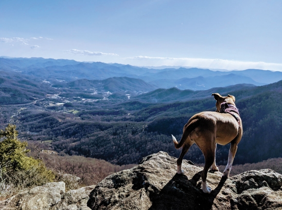 Overlooking Sylva, the Pinnacle offers one of the most dramatic views around. Holly Kays photo