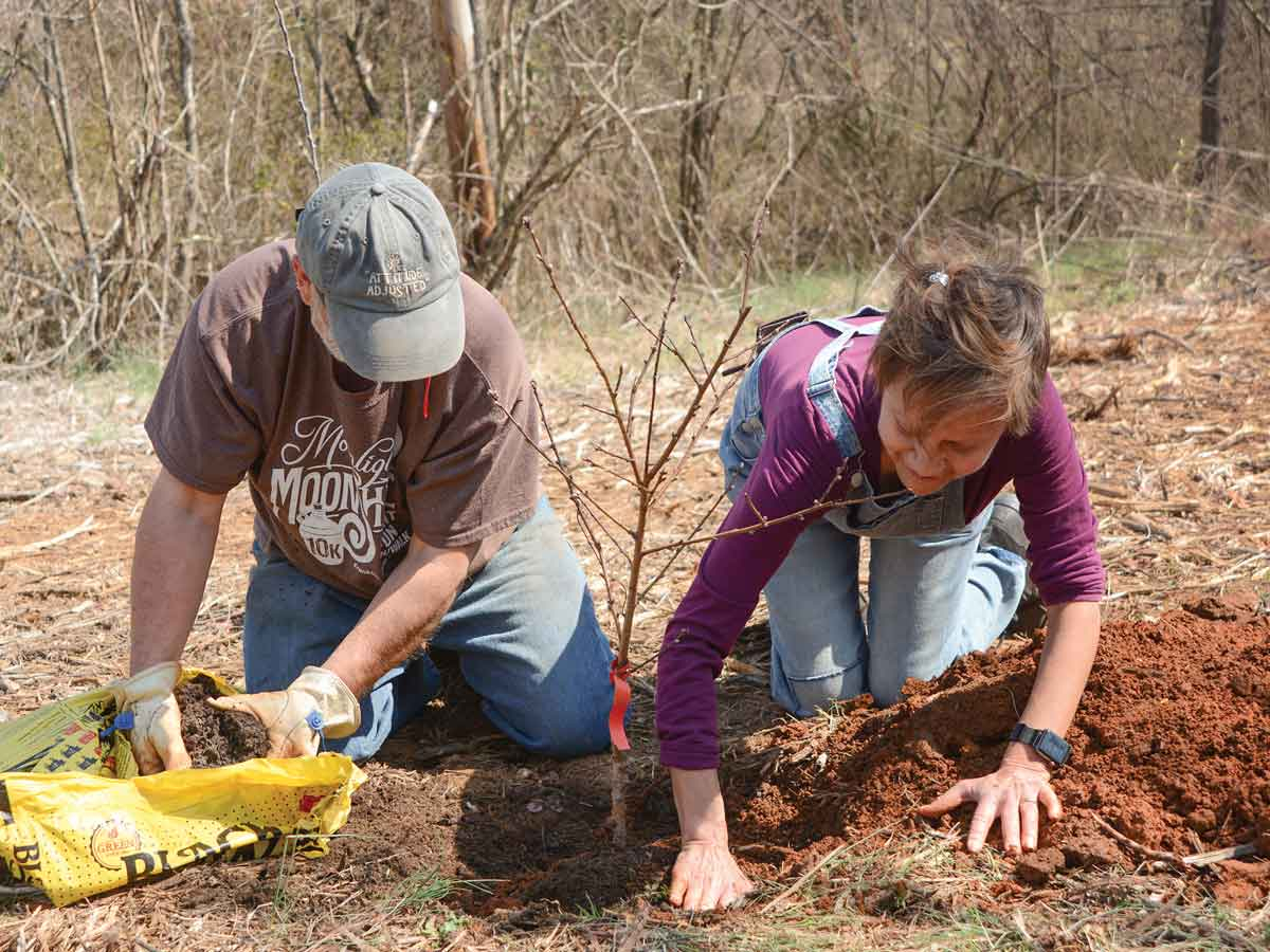 Juanita Wilson (right) and Bob McCollum, co-chairs of the Nikwasi Initiative, plant a tree along the new Barbara McRae Cherokee Heritage Apple Trail March 7. Holly Kays photo