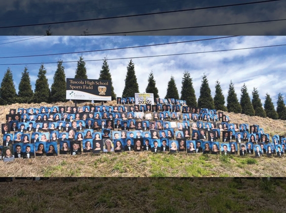 Graduate photos cover the hill outside Tuscola High School. Graduation ceremonies took unrecognizable forms in 2020. File photo