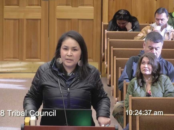 Birdtown community member Becky Walker presents her proposed ordinance to Tribal Council Dec. 6. EBCI image