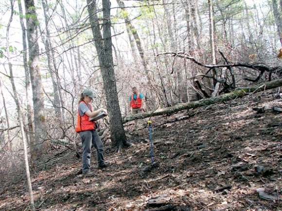 A fire-forged laboratory: Scientists look to learn from 2016 wildfires