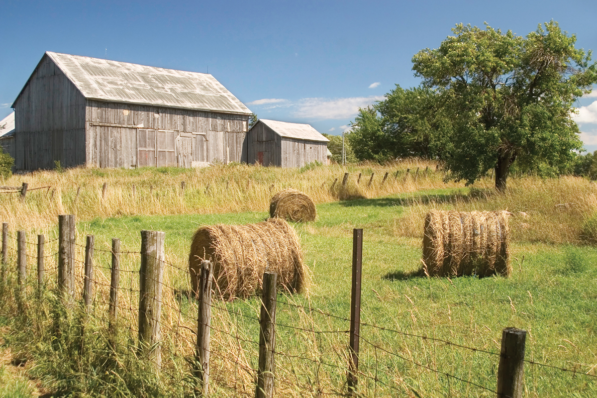 Anyone in need of hay is encouraged to call the Haywood County Cooperative Extension. File photo