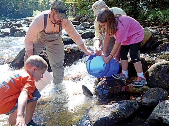 Stocking the Pigeon: Trout stocking a team effort in Haywood