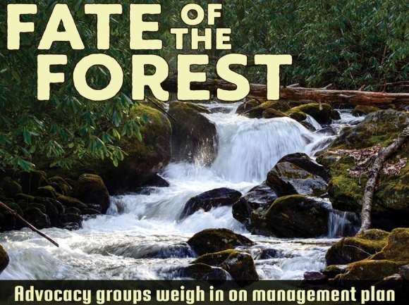 Stakeholders offer initial feedback on long-awaited forest management plan