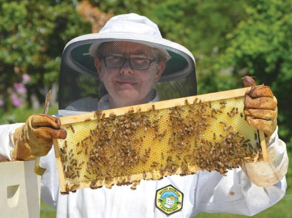 Beekeeper Cynthia Schwartz tends to the Maggie Valley Community Garden’s colony of pollinators. Cory Vaillancourt photo