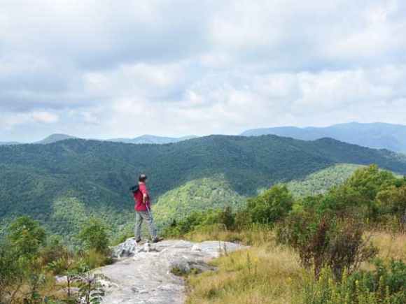 Wilderness debate goes to the government