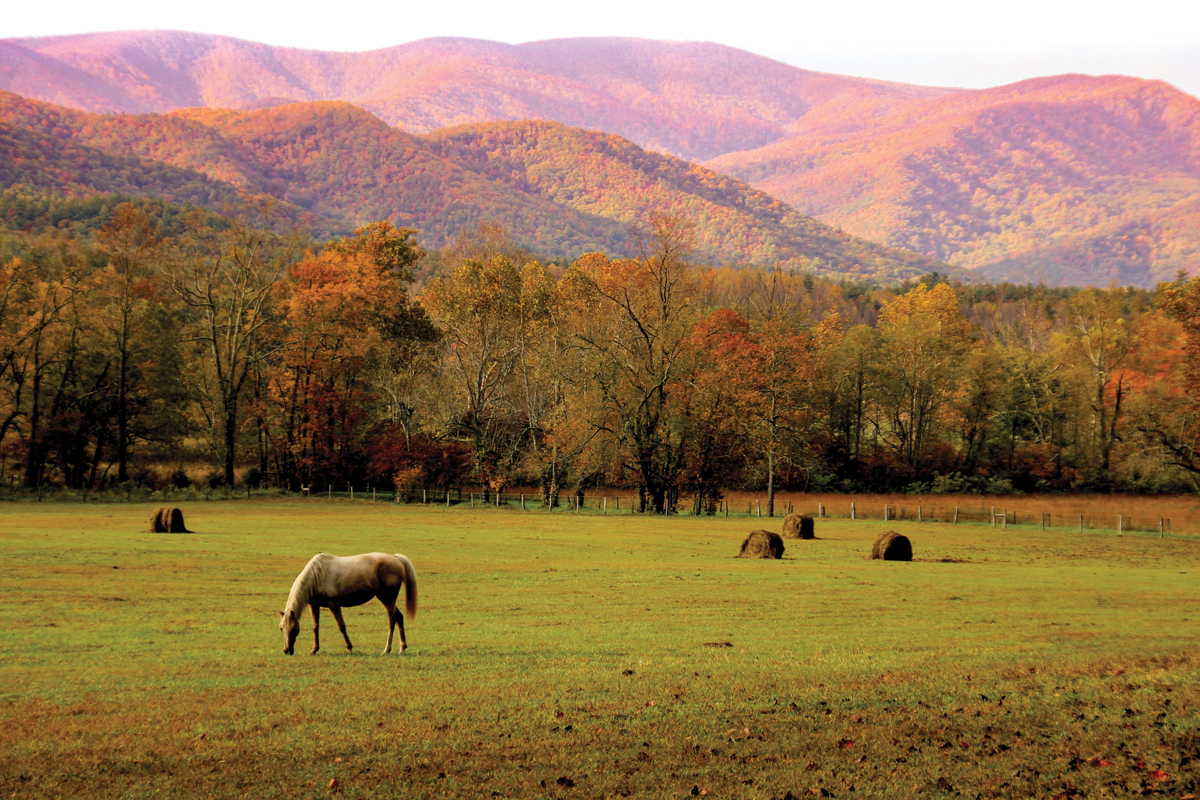 Celebrate American Sign Language Day in the Smokies