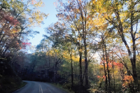 This must be the place: 'Red pepper notes and yellow cigarettes, she shared and never asked for more'