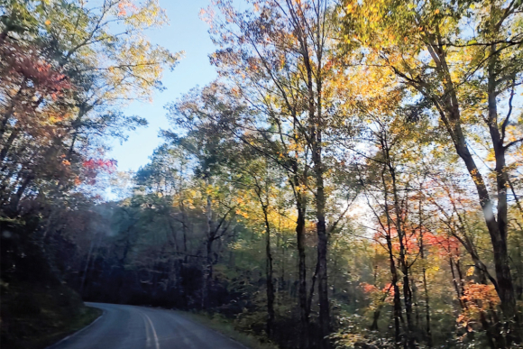 Graham County, North Carolina.