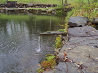 Up Moses Creek: A Siphon Does Not Sip