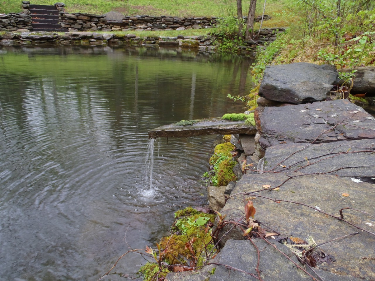 The pond spring flows boldly during an extra-wet March.