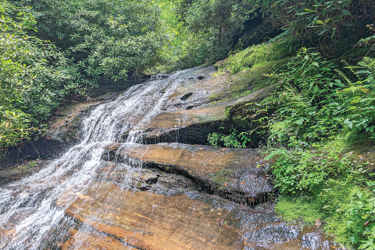 The land will be conserved thanks to the support of generous donors. Donated photo