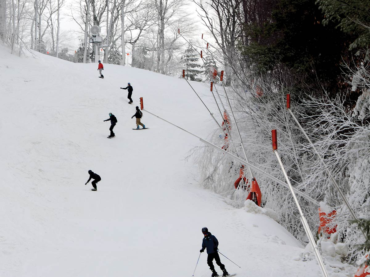 Riders sweep down Upper Snowbird at Cataloochee Ski Area. Holly Kays photos