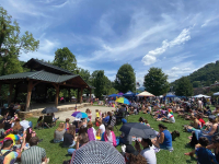 Broadband a vital factor in Jackson&rsquo;s growth