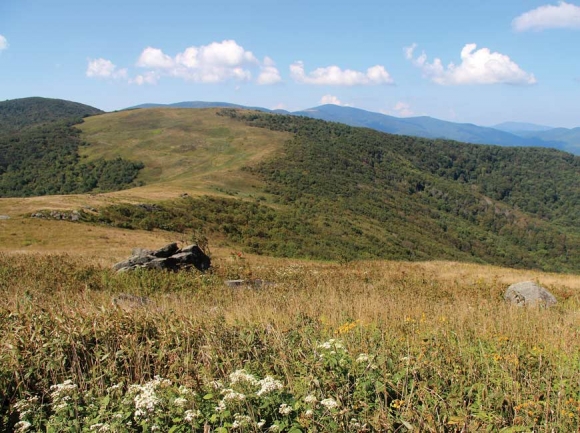 The property is easily visible from the Appalachian Trail. SAHC photo