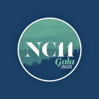 Chair resigns, Democratic gala lineup revised after NC-11 candidates protest