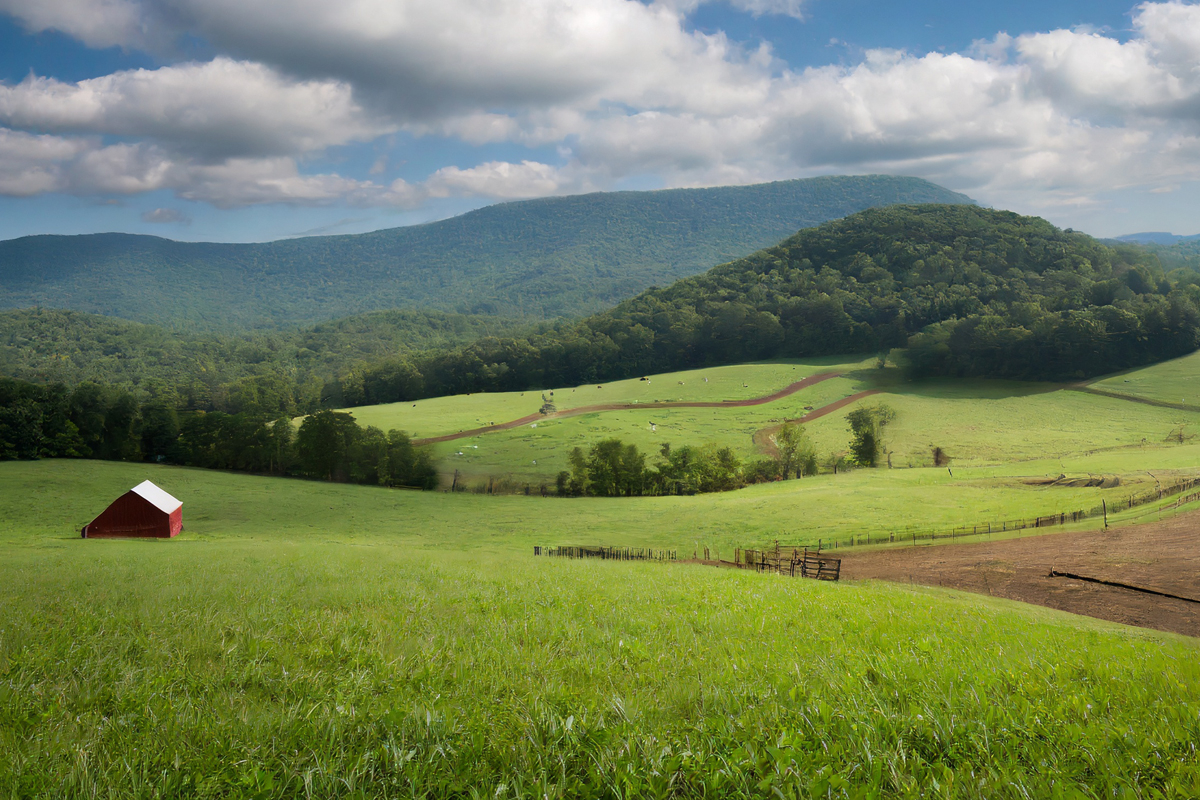 Grants awarded to protect N.C. farmland