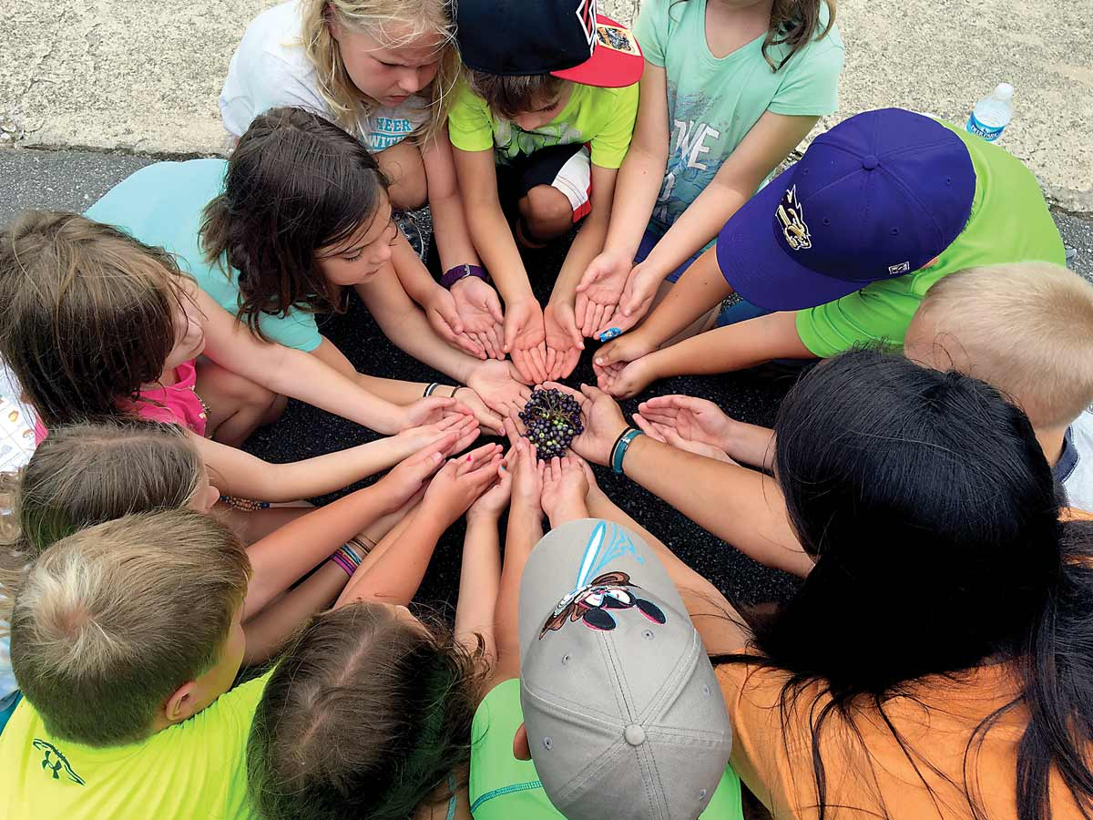 Waynesville Rec hiring summer camp counselors