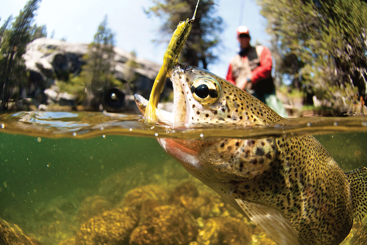 Celebrate National Hunting and Fishing Day