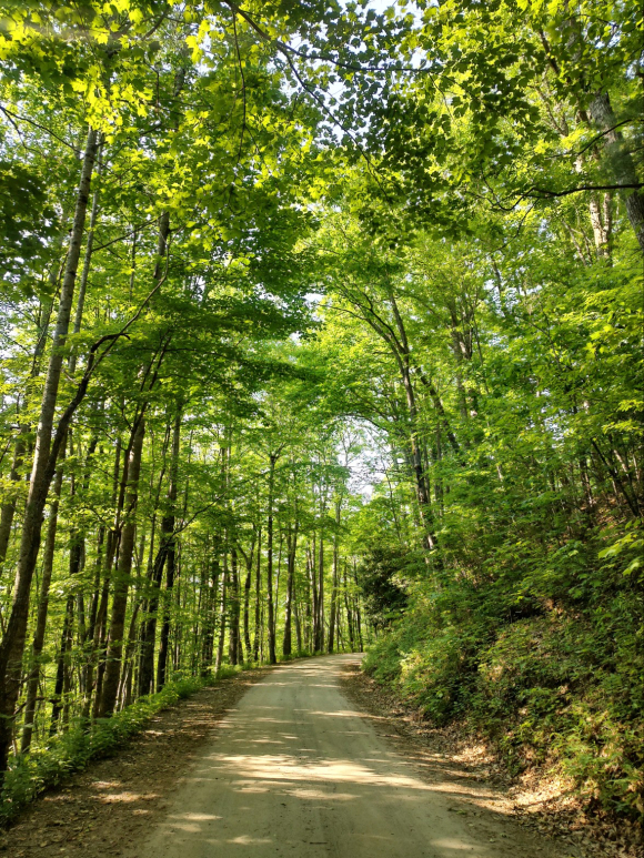 The backwoods road to the secret running trail in Balsam Gap.