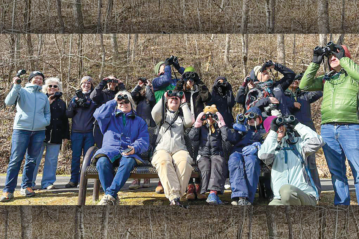 Get in on the Great Backyard Bird Count Walk