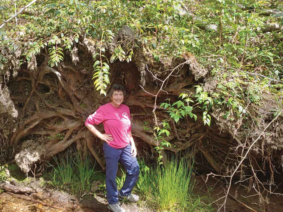 While hiking Cucumber Gap Loop in the Smokies, Sue Wasserman stands under an enormous massive root ball. Donated photo.