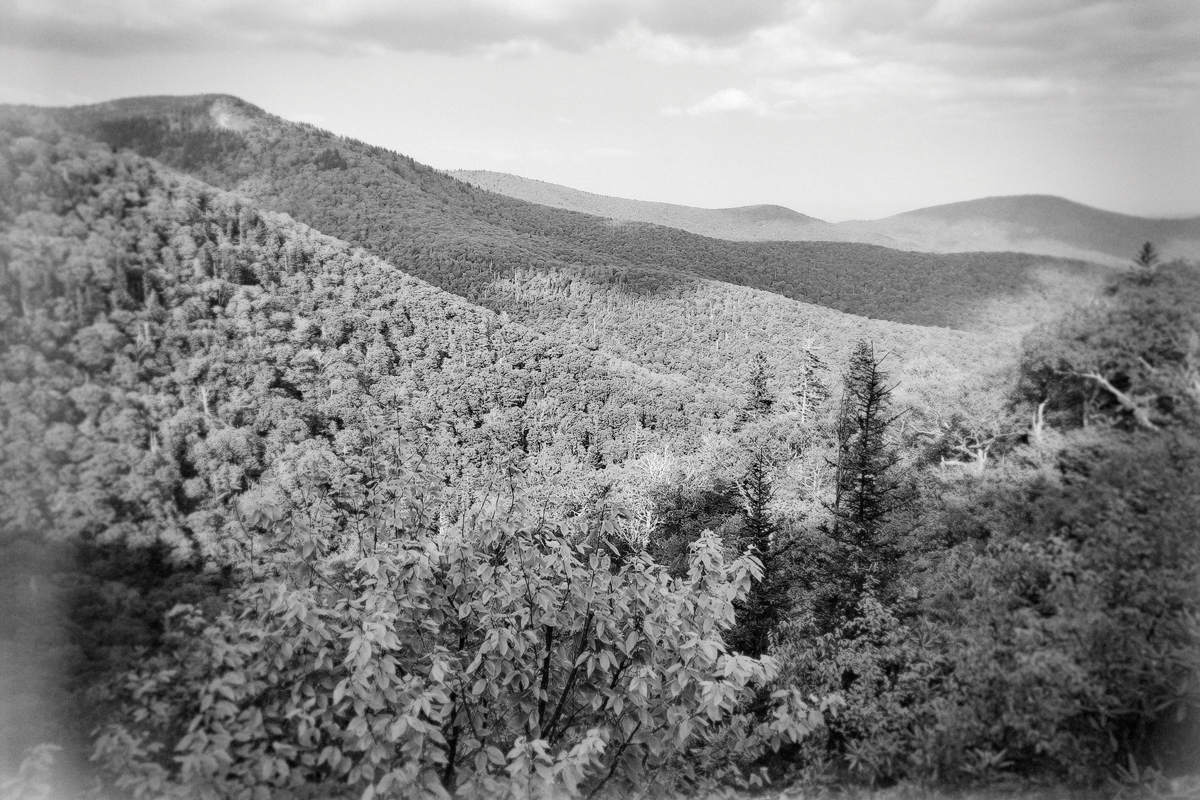 A love letter to Appalachia