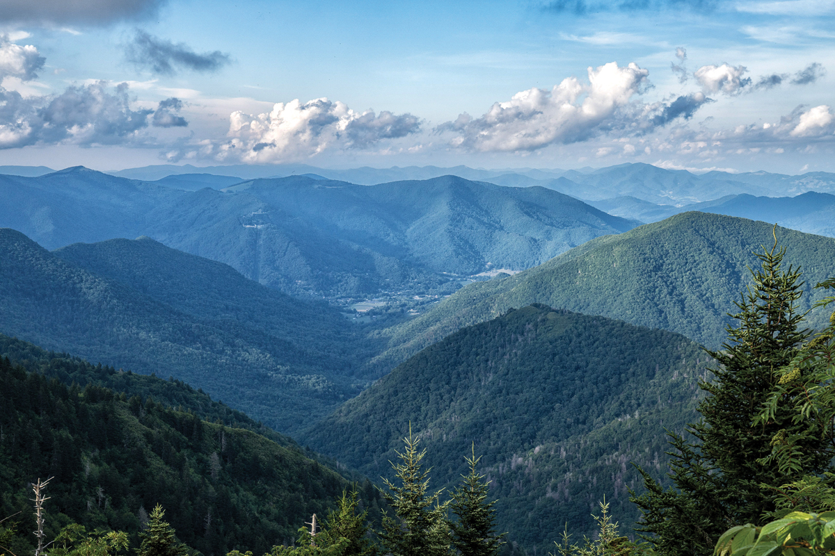 Maggie Valley candidates talk growth, leadership