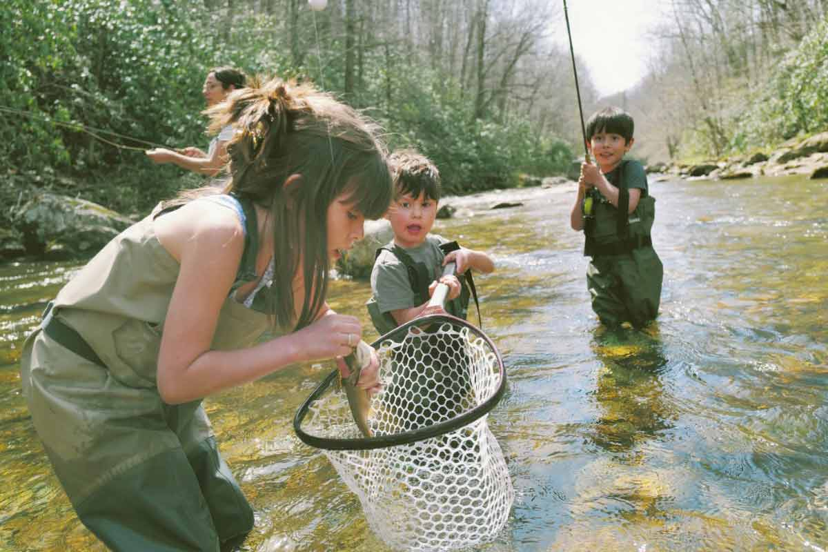 Help fill the West Fork of the Pigeon with trout