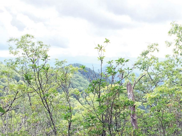 Simp Gap appears in a view from the Appalachian Trail. Donated photo