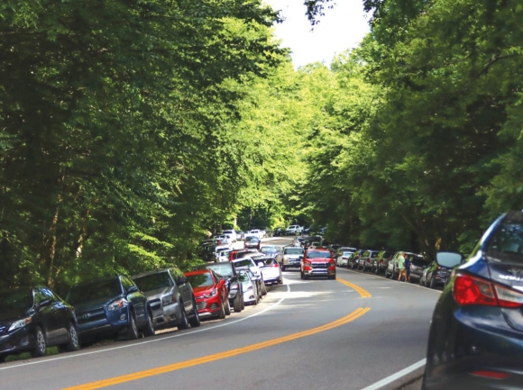 Alum Cave Trail overflow parking.