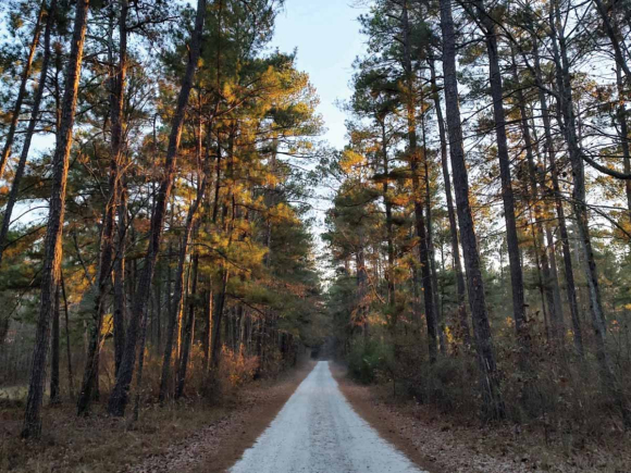 A running route in South Carolina. (Garret K. Woodward photo)