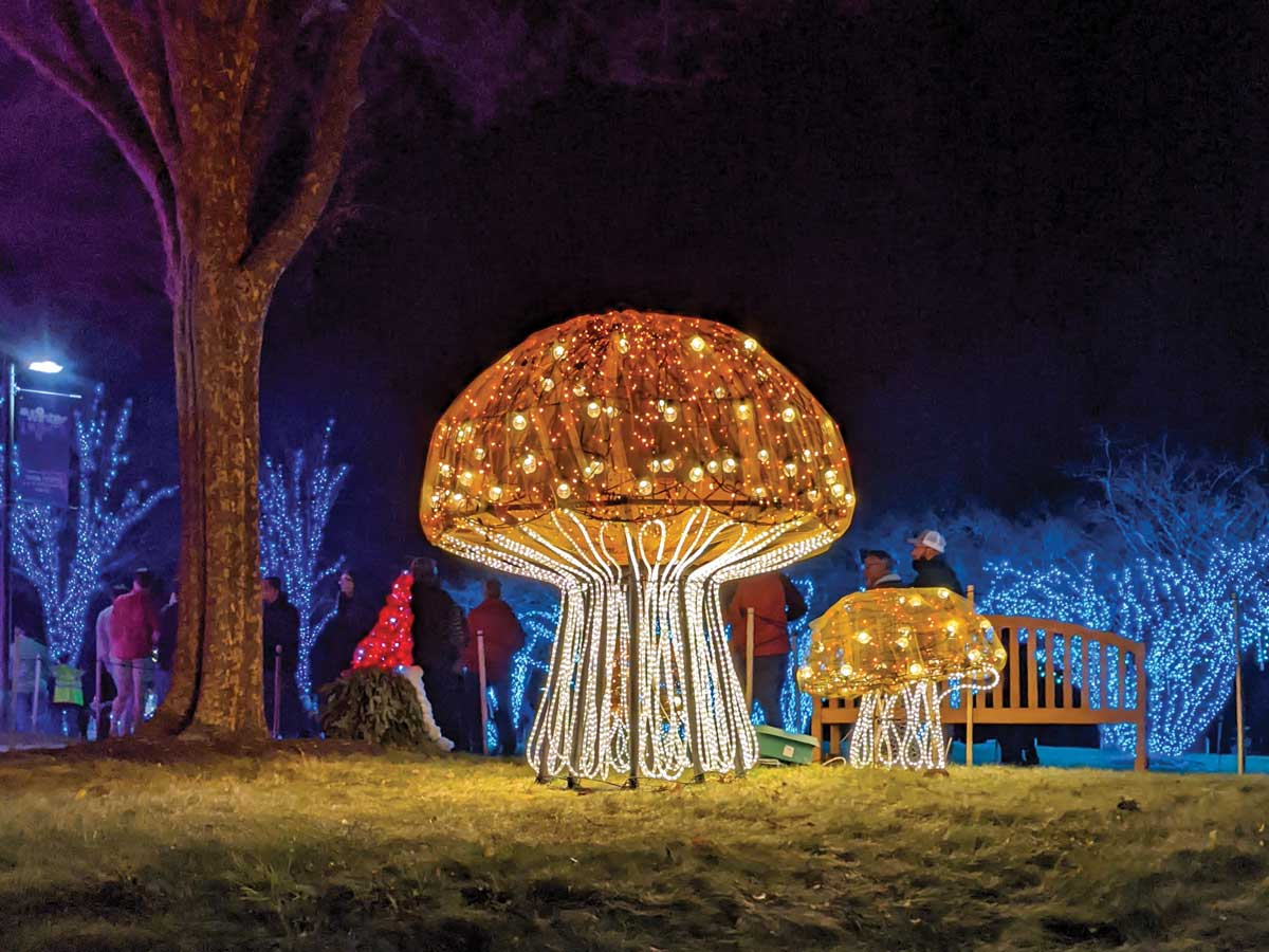Winter Lights tickets on sale