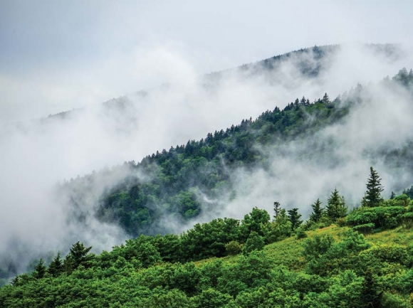 Haw Orchard Ridge rises high as seen from the Appalachian Trail. Travis Bordley photo