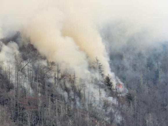 Rain quells wildfires across the region