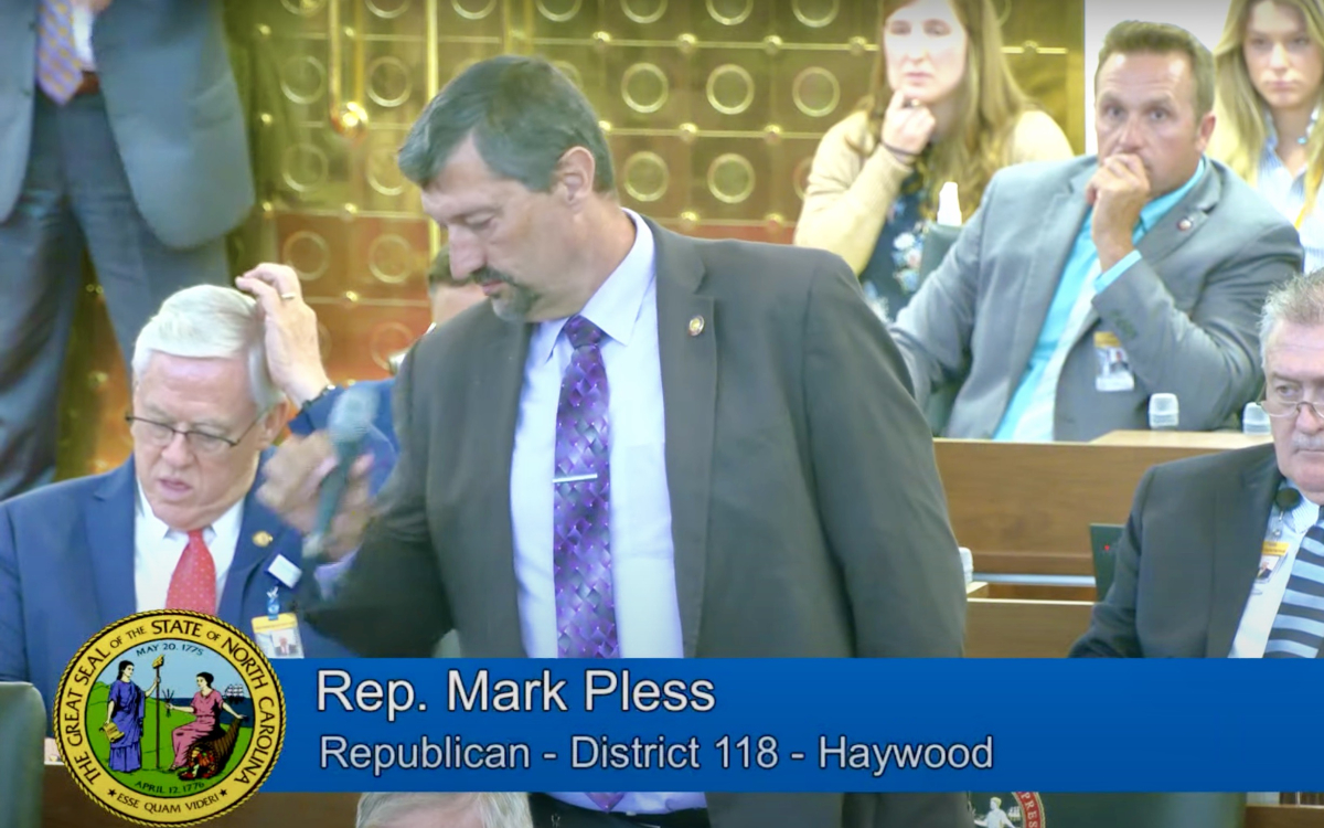 Rep. Mark Pless offers a motion on the House floor on July 12. 