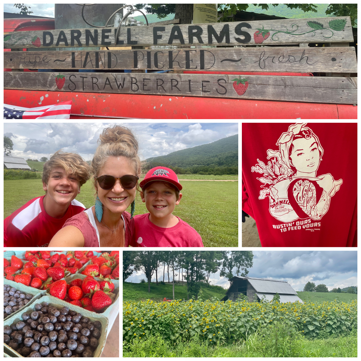 Darnell Farms - Fun for Everyone