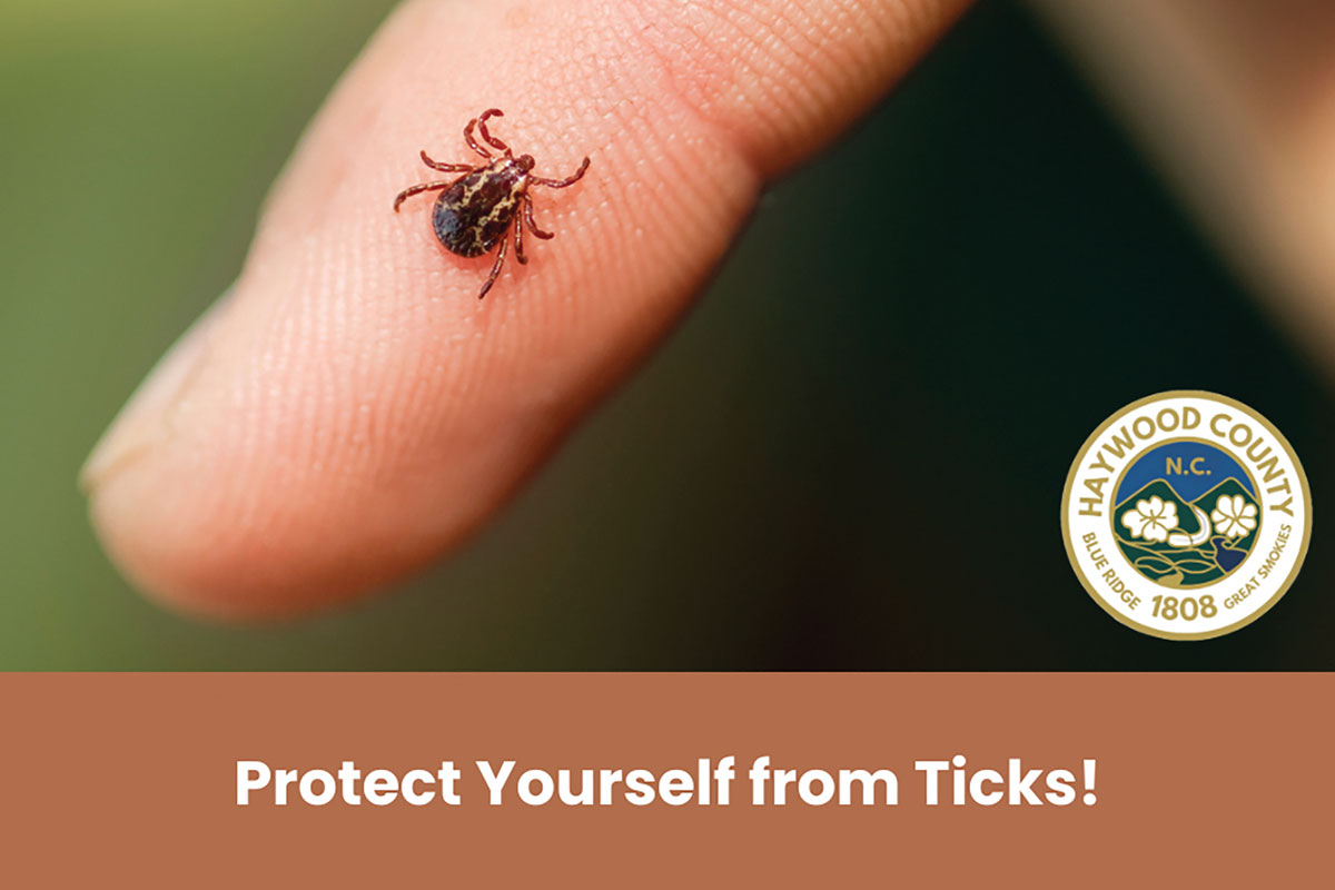 Haywood County offers warning amid tick season