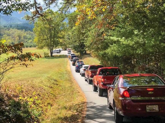 Traffic slows to a crawl through Cades Cove. NPS photo